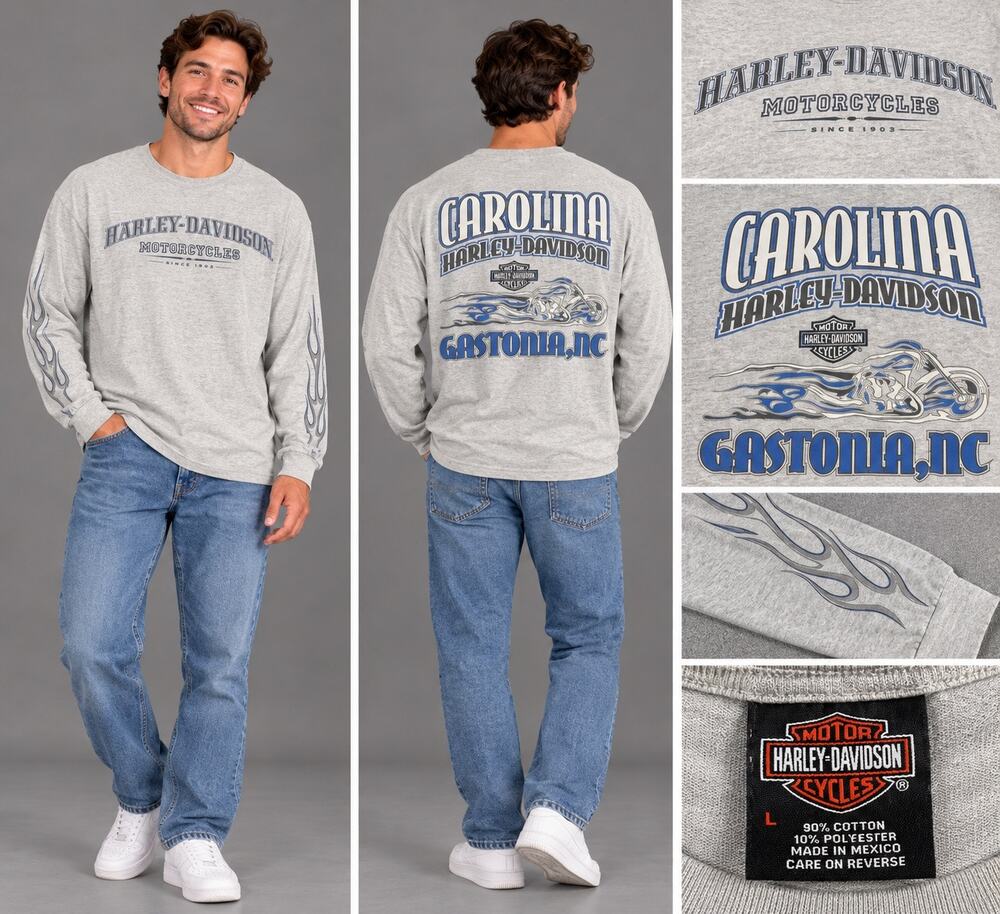 Harley Davidson Long Sleeve Shirt Mens L Gray Gastonia NC Flames Biker Y2K